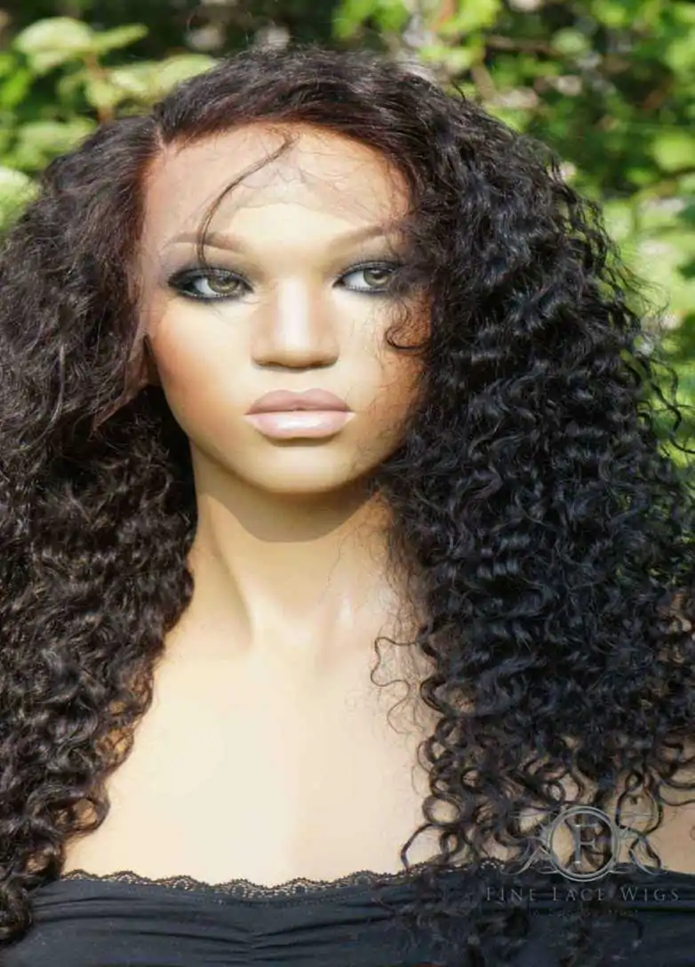 African American Human Hair Wigs Fine Lace Wigs