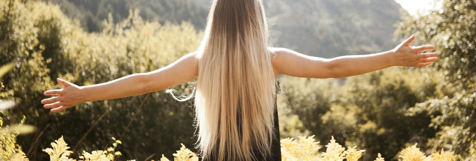Ombre Human Hair Wigs